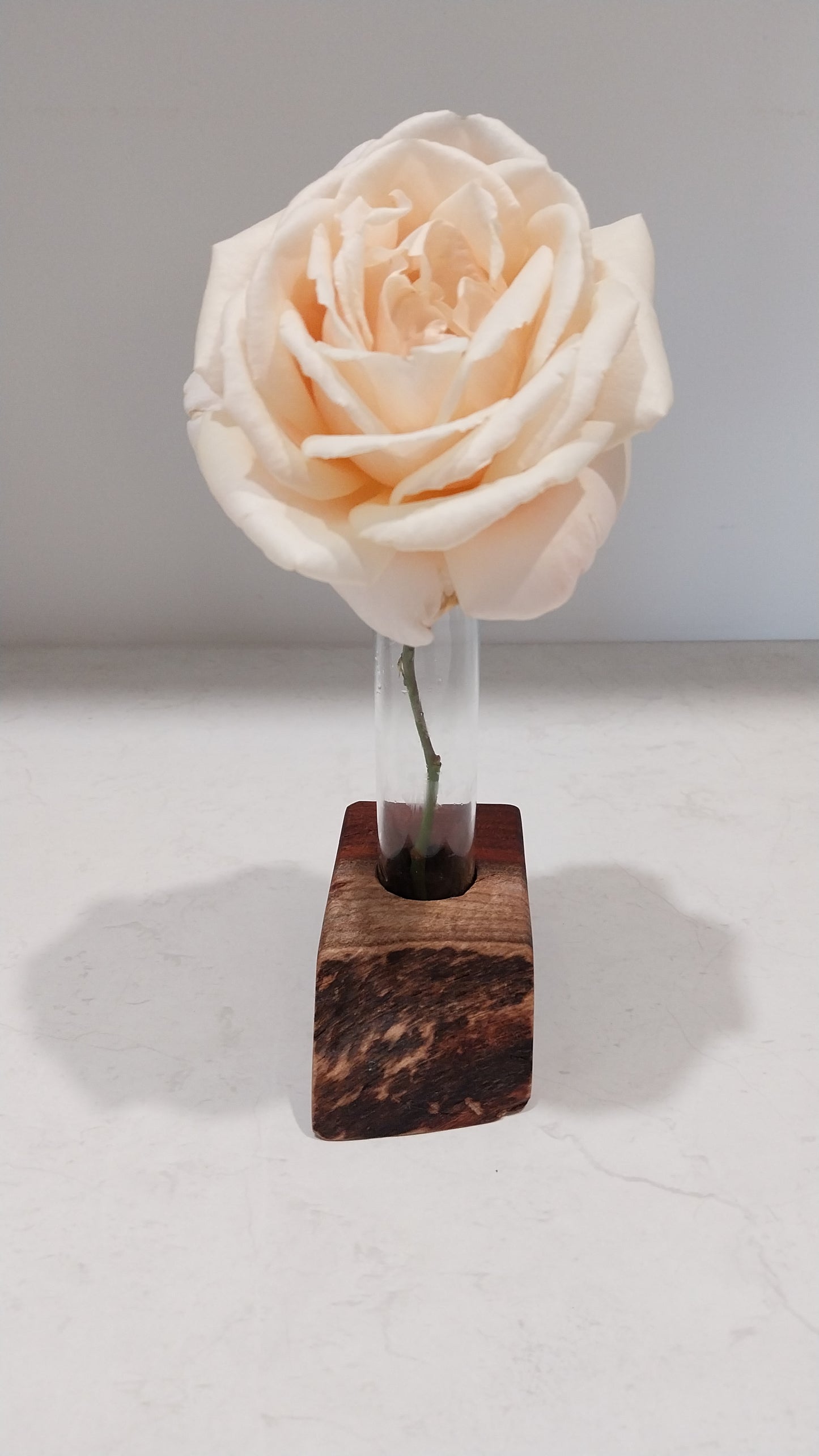 Bud Vase / Plant Propagation Stand 1 Tube